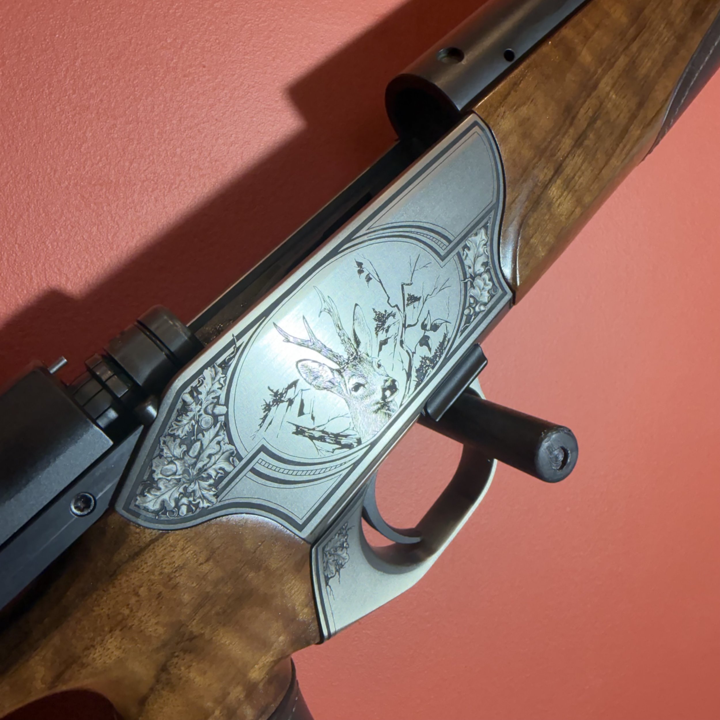 Photo 24-02-26 10 05 57.jpg