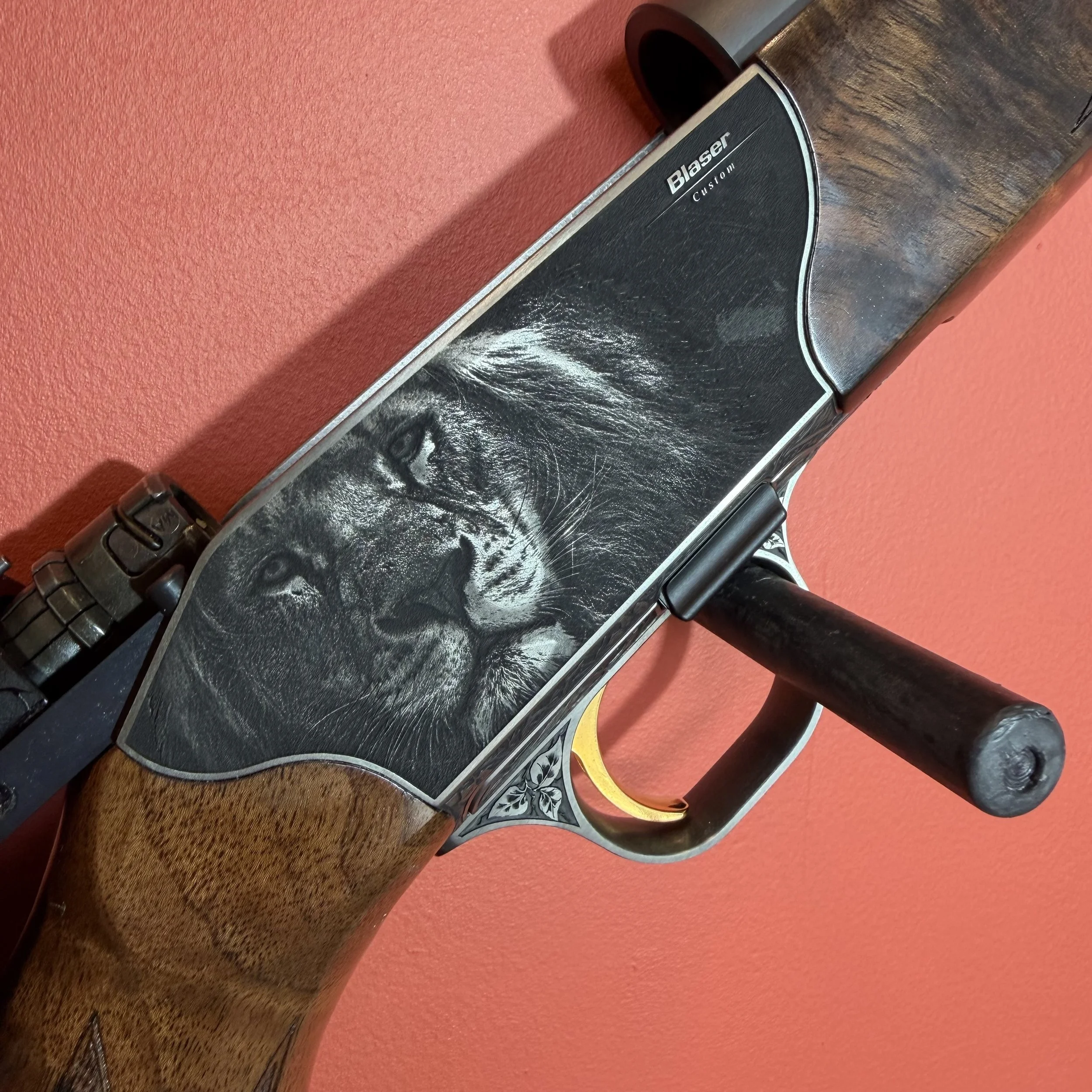 Blaser R8 Big Five