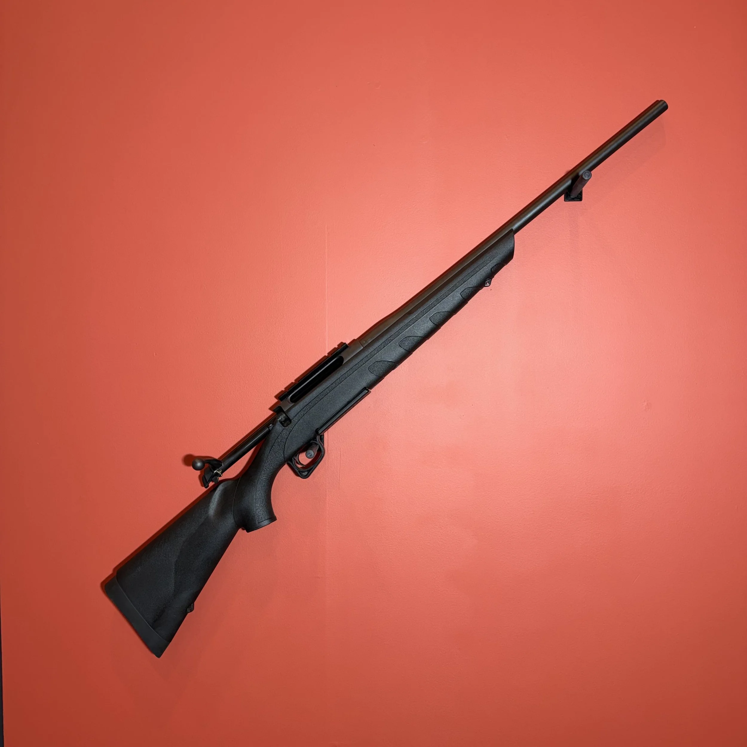 Photo 17-02-26 09 29 02.jpg