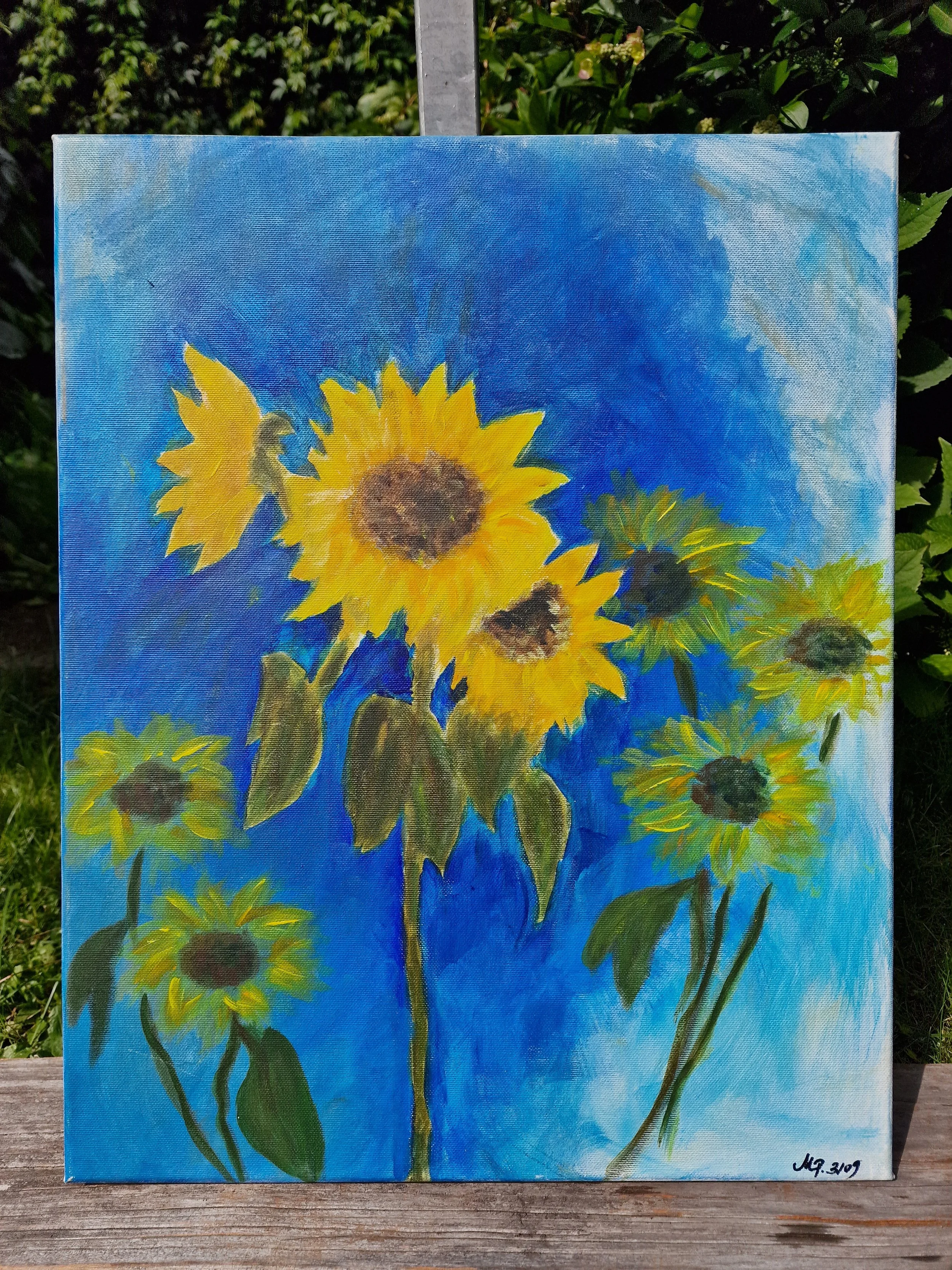 Sonne - Die Freude des Herzens