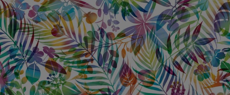 Tropic-800x332.png
