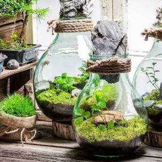 Workshop: Living Terrarium Build - Thursday, April 23rd from 6-8 pm