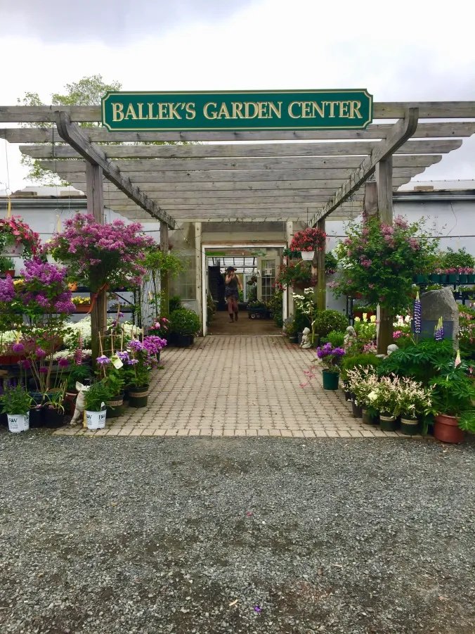 East Haddam Farmers' Market — Community Pollinator