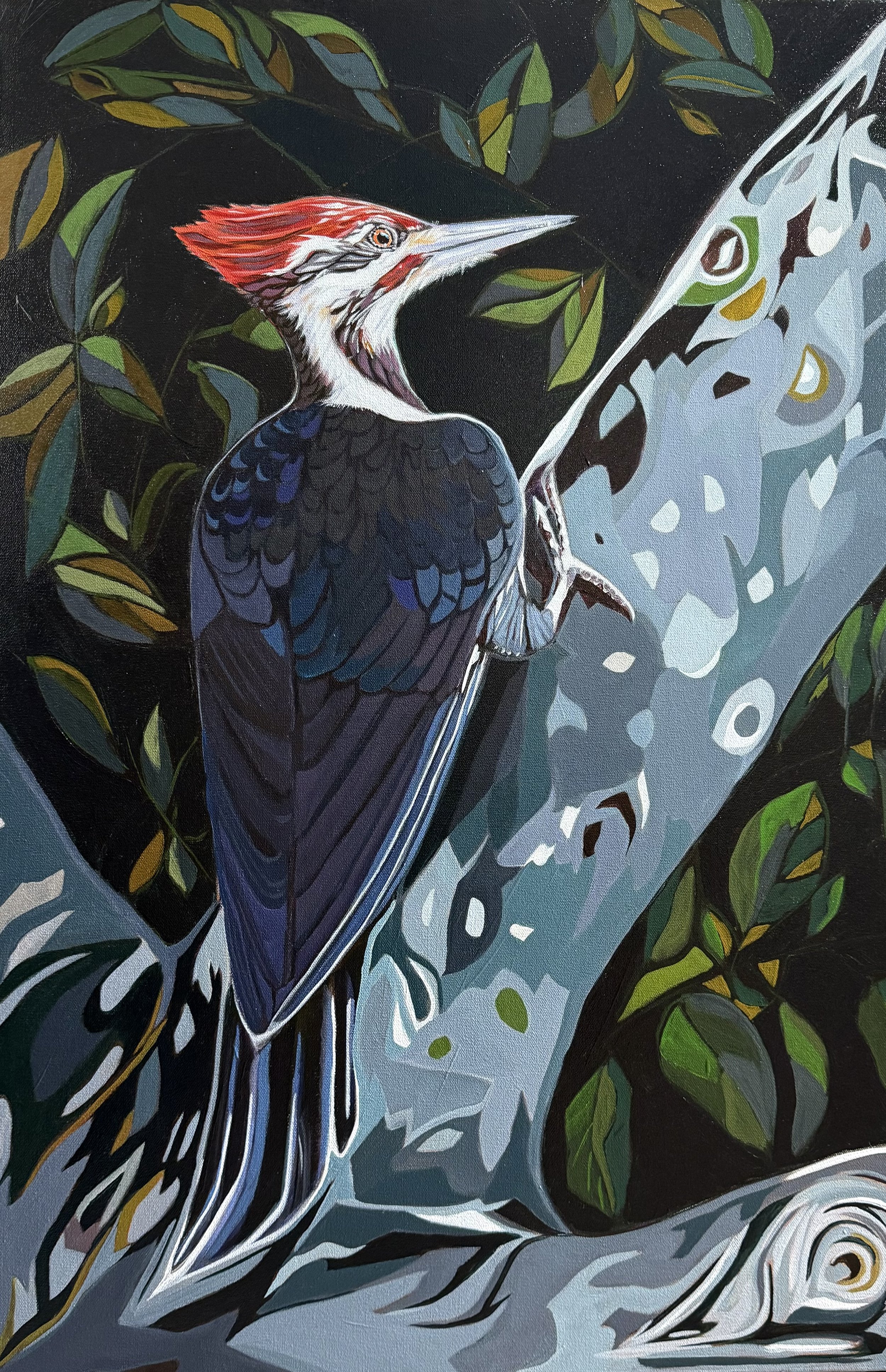 "Pileated Woodpecker" 36x24 Acrylic on Canvas
