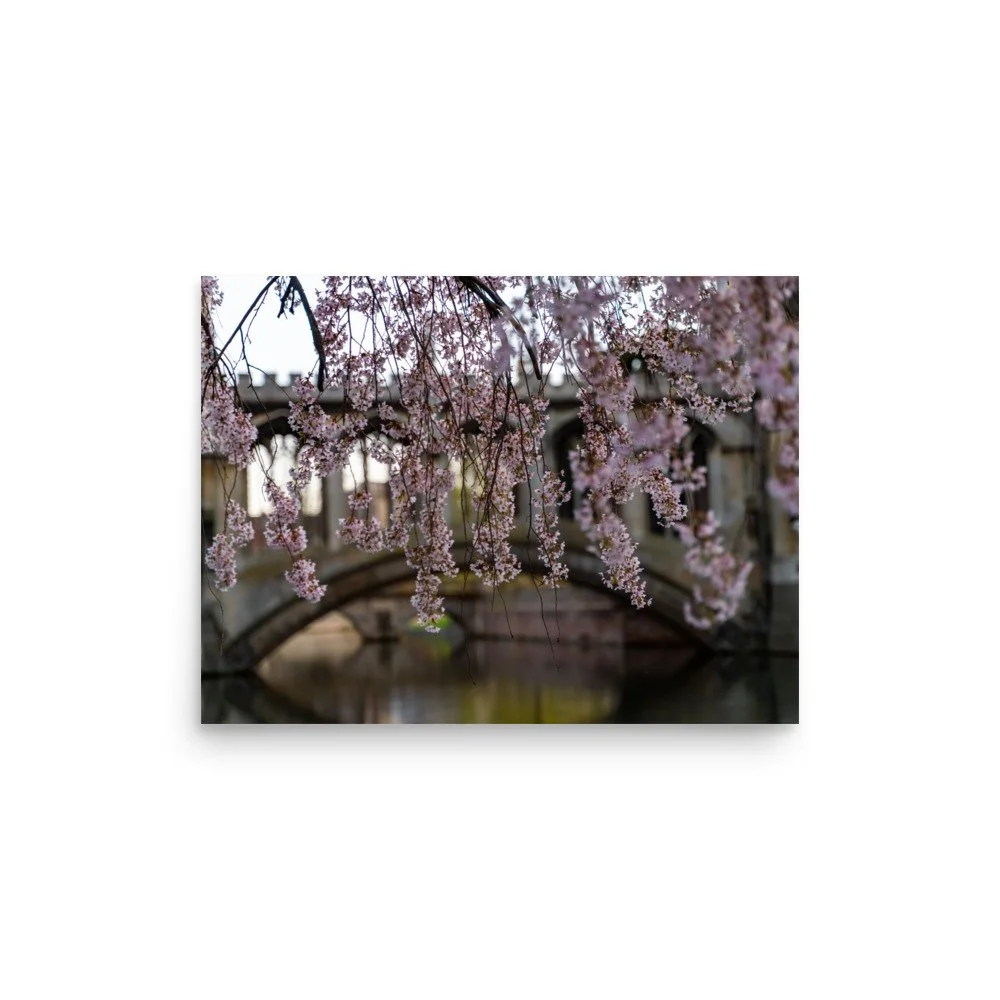 premium-luster-photo-paper-poster-(in)-12x16-front-62531b8662a5a.jpg