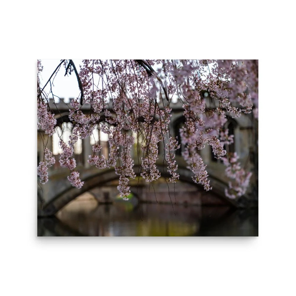 premium-luster-photo-paper-poster-(in)-16x20-front-62531b8662b32.jpg