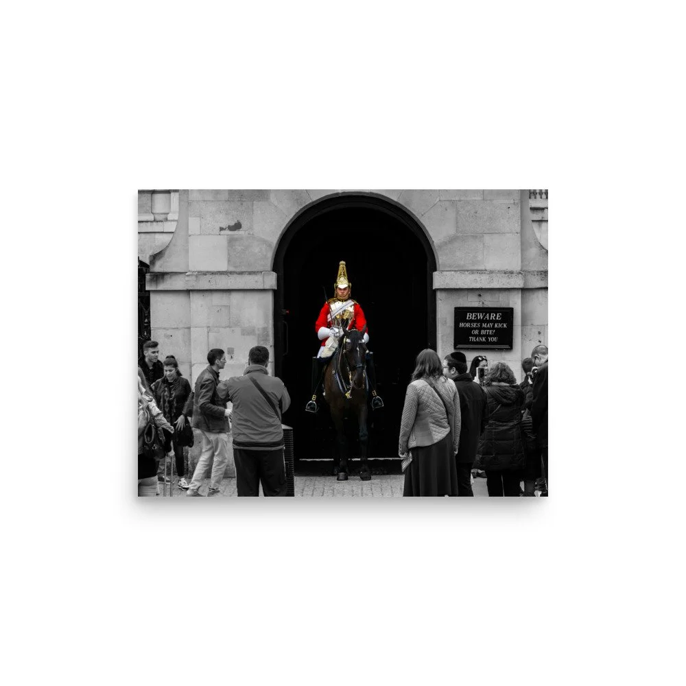 premium-luster-photo-paper-poster-(in)-12x16-front-625322f710262.jpg