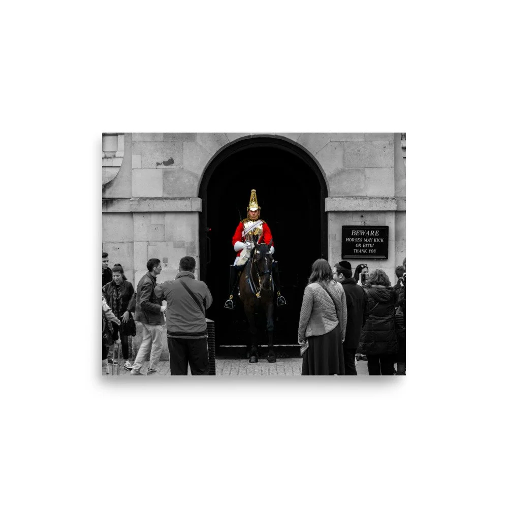 premium-luster-photo-paper-poster-(in)-8x10-front-625322f7103d8.jpg