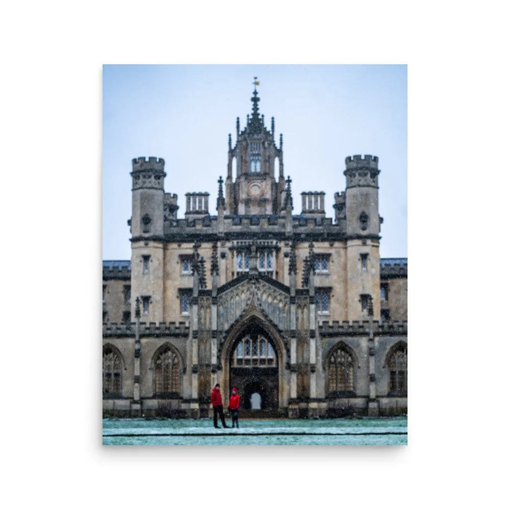 premium-luster-photo-paper-poster-(in)-16x20-front-625324265abee.jpg