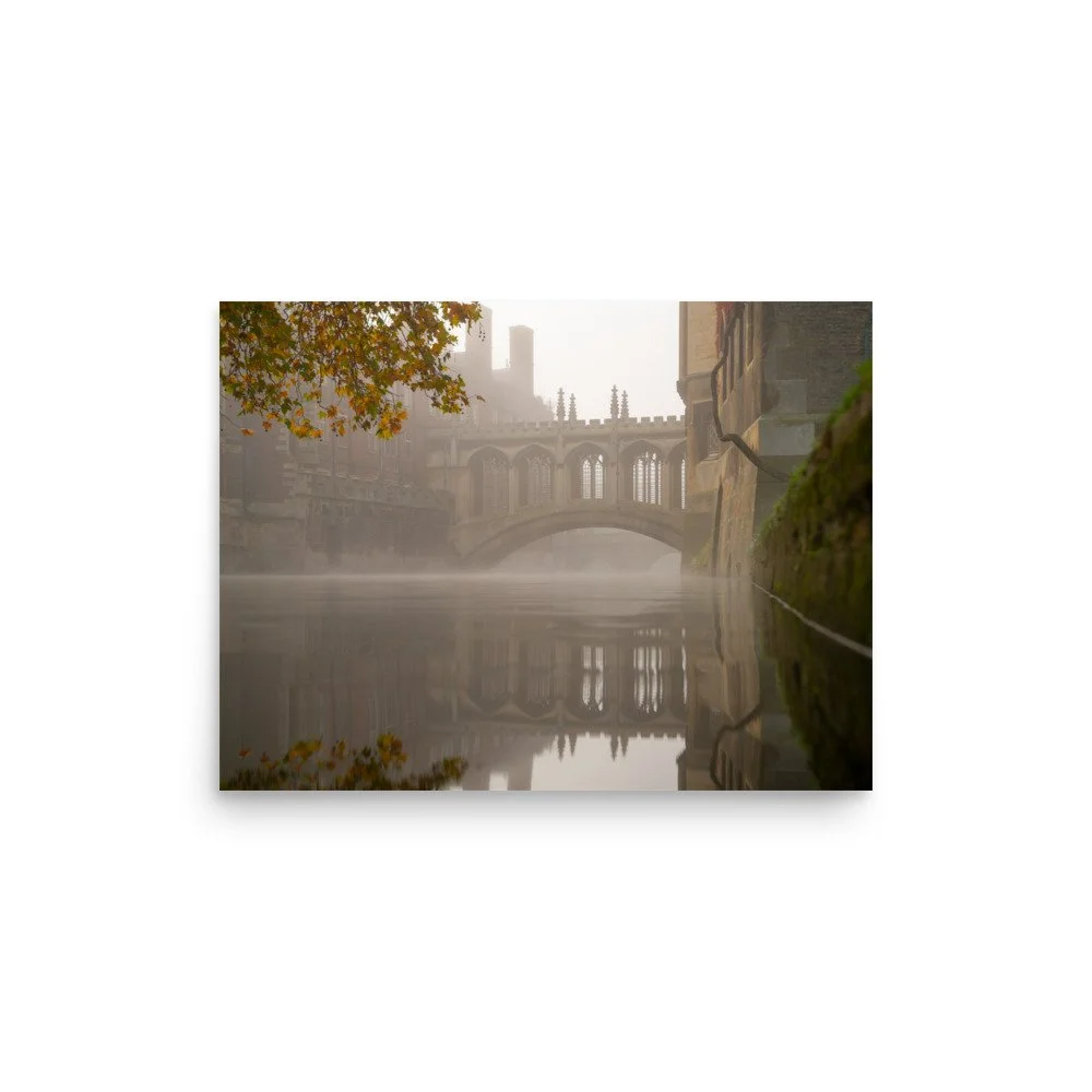 premium-luster-photo-paper-poster-(in)-12x16-front-62532664bba0f.jpg