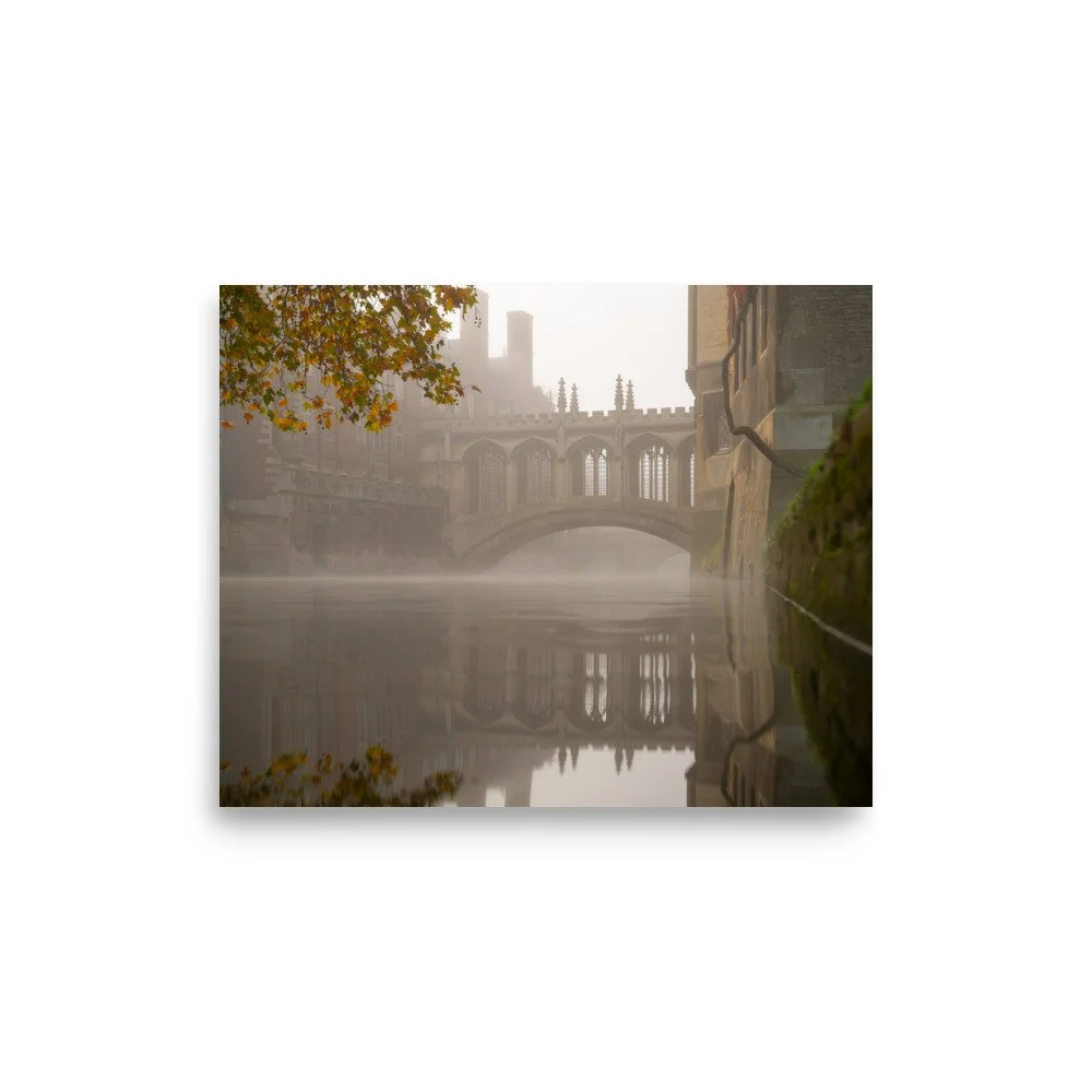 premium-luster-photo-paper-poster-(in)-8x10-front-62532664bbb84.jpg