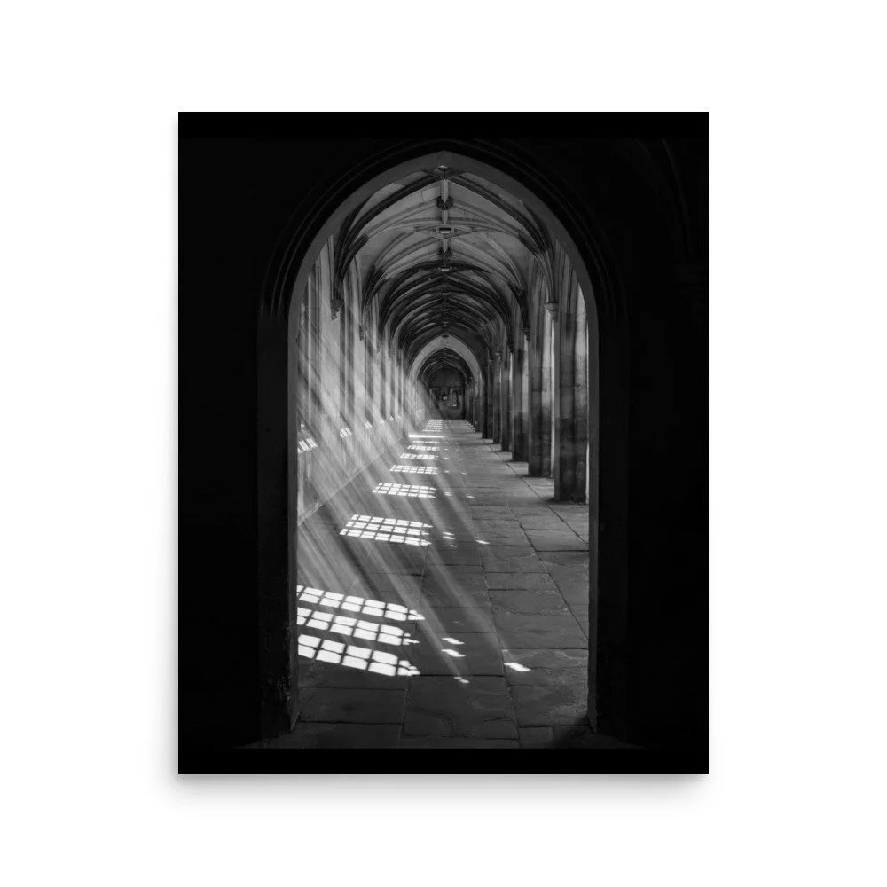 premium-luster-photo-paper-poster-(in)-16x20-front-62532c579b2c2.jpg