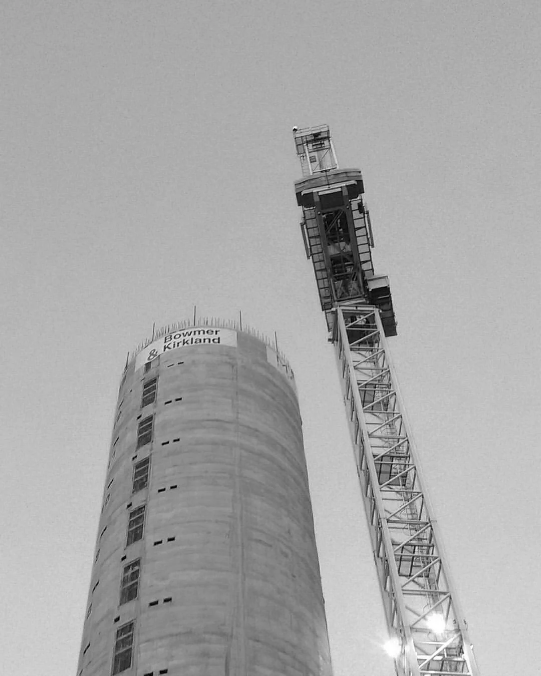 Cape cran avarel.jpg