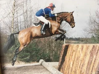 Gallery — Clappers Farm Livery Yard