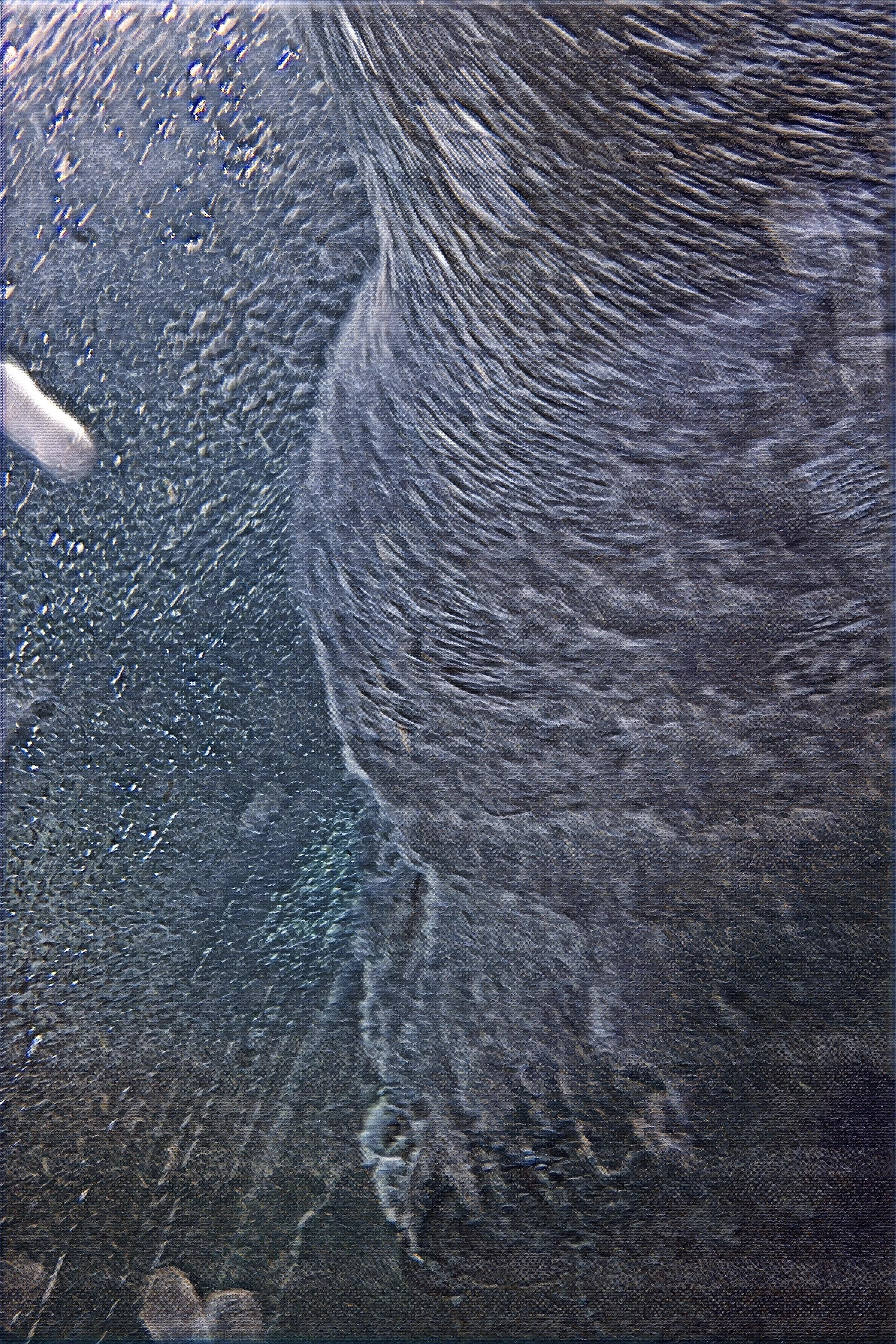 resized_submerged.jpg