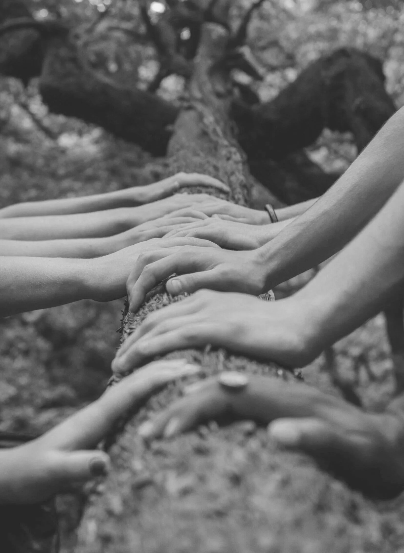 Für- und Miteinander