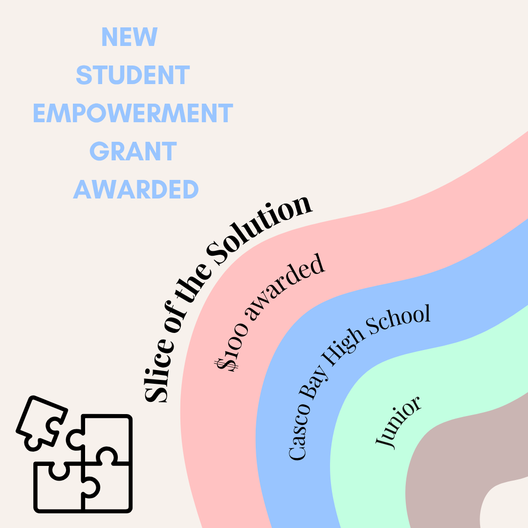 Slice of the solution