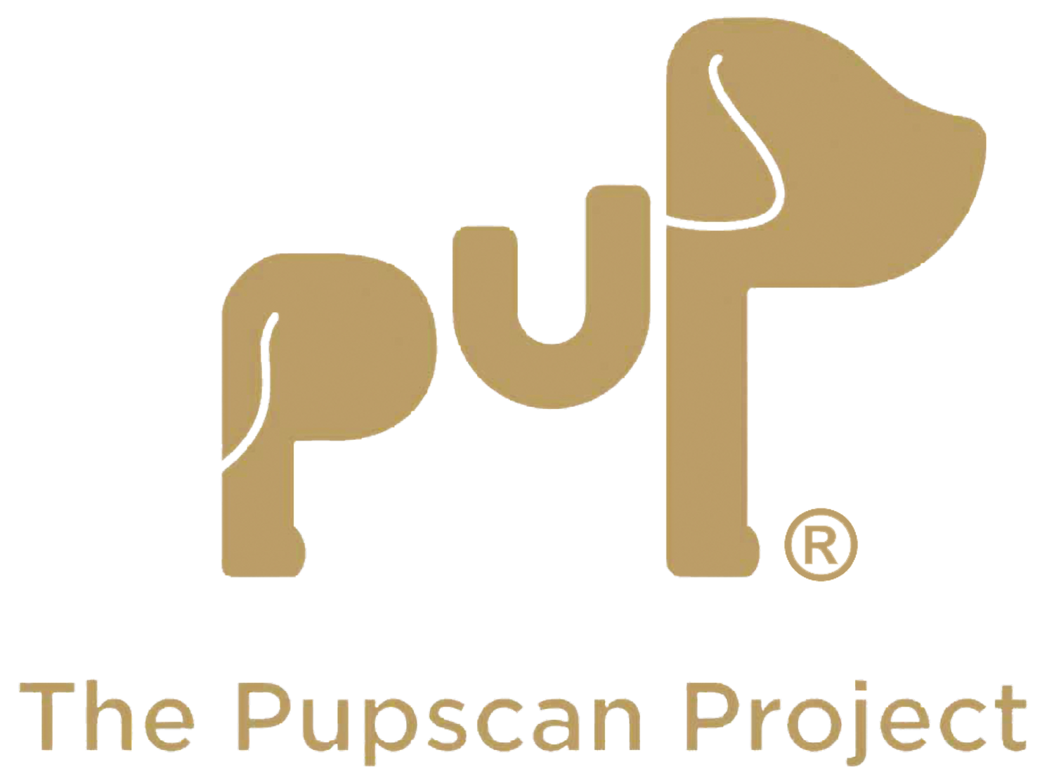 The Pupscan Project