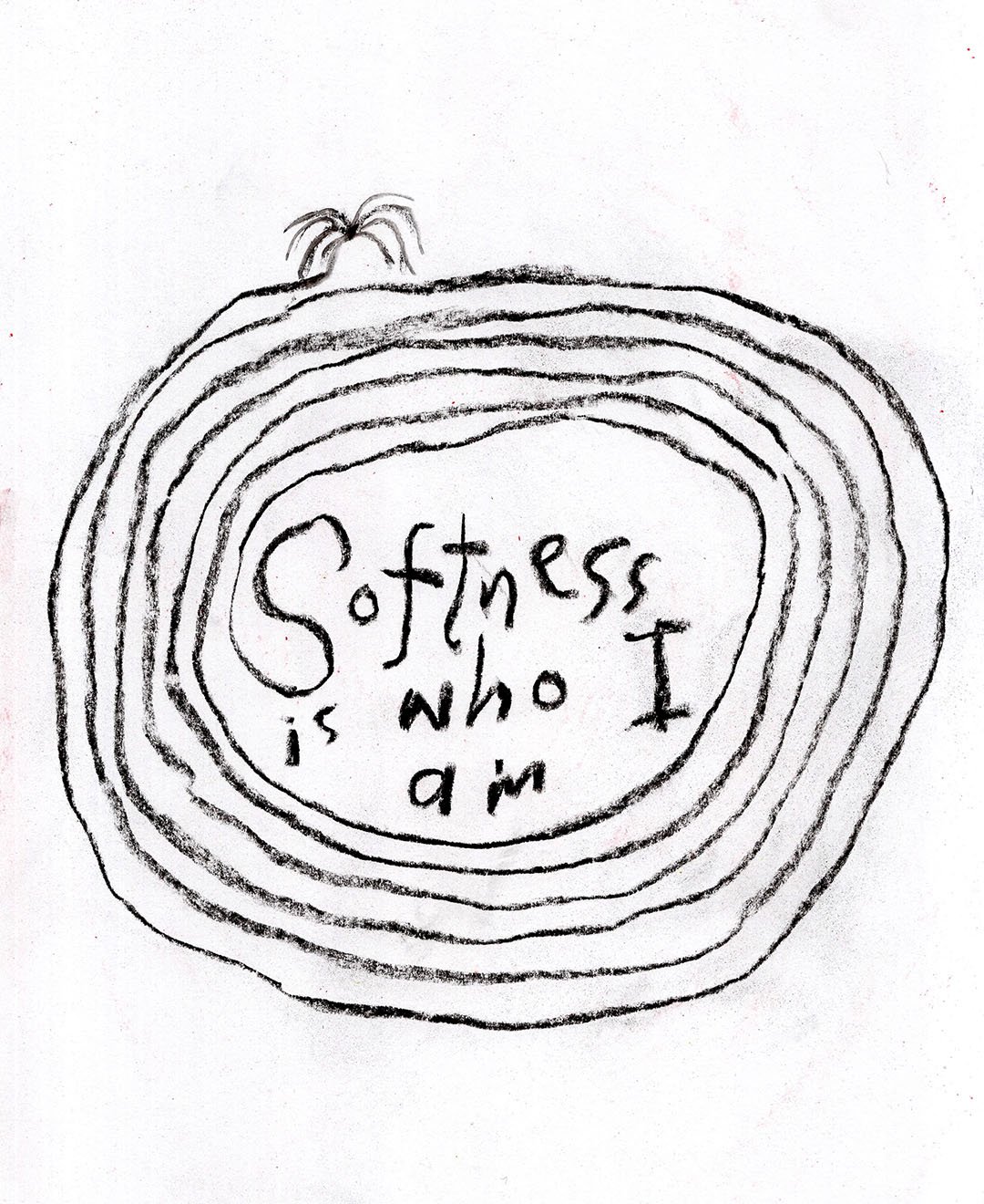 soft_9_ig.jpg