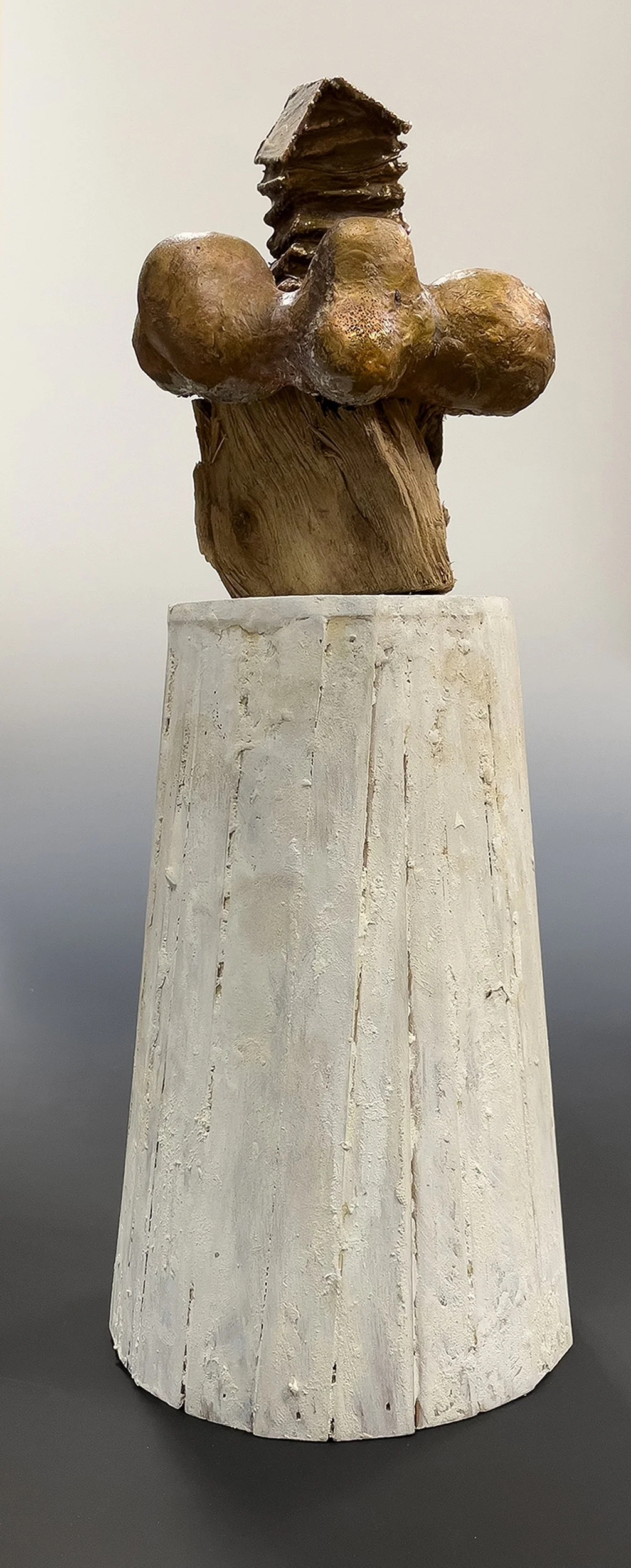 Cottage in the Mountains
wood, pecan wood, shellac, wax, oil stick, electroformed copper
$450