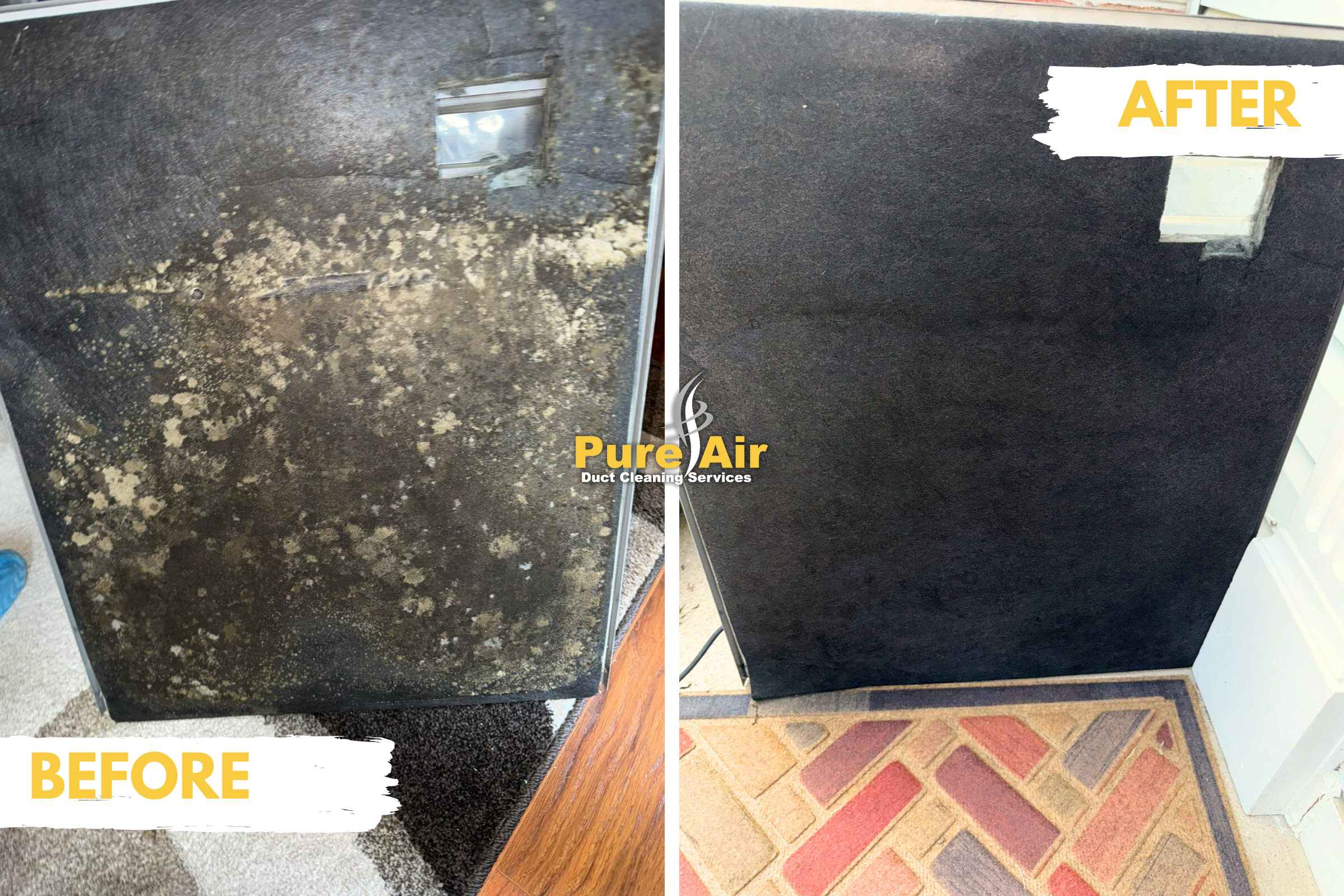mold in HVAC