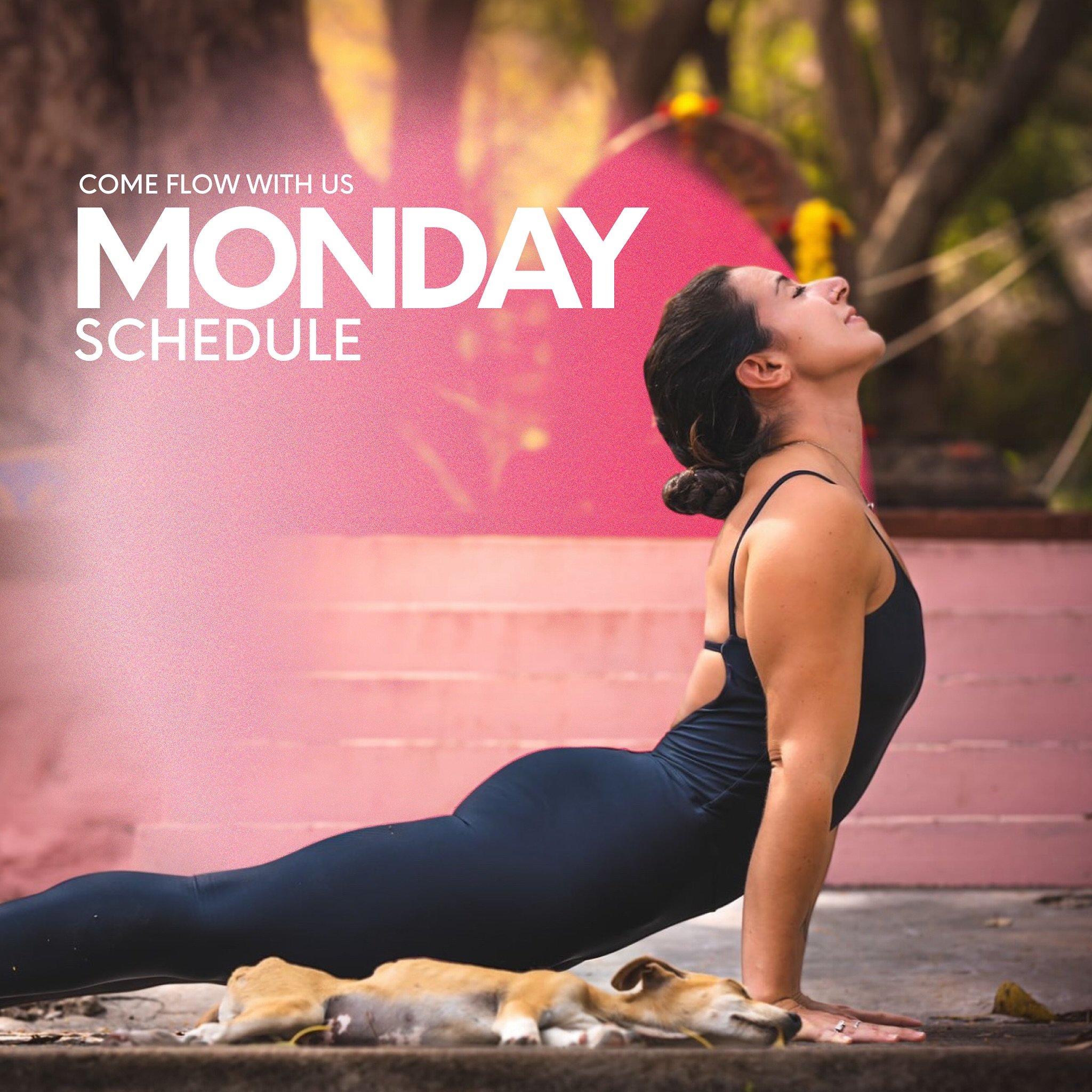 Tomorrow start your week flowing with the amazing roster of teachers we have for you:

6:30 AM &ndash; 8:30 AM EDT
All Levels - Mysore Style
@ashtangawithpaige 

6:30 AM &ndash; 9:00 AM EDT
All Levels - Online Mysore
@editatosmuk 

8:30 AM &ndash; 9: