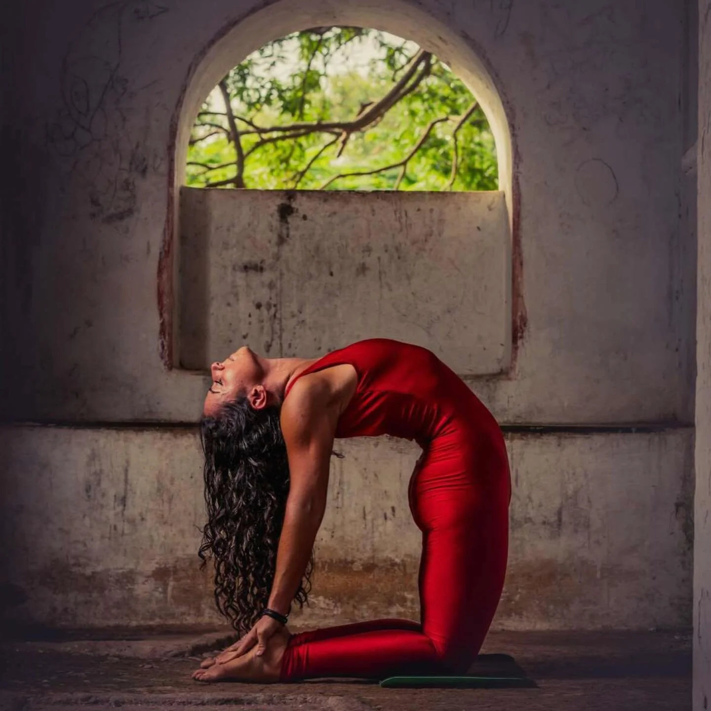 Ready to deepen your practice from anywhere in the world?

Join our Online Mysore Program with Paige and experience the traditional Mysore method with the guidance of a dedicated and highly trained teacher, right from your home. Practicing online all