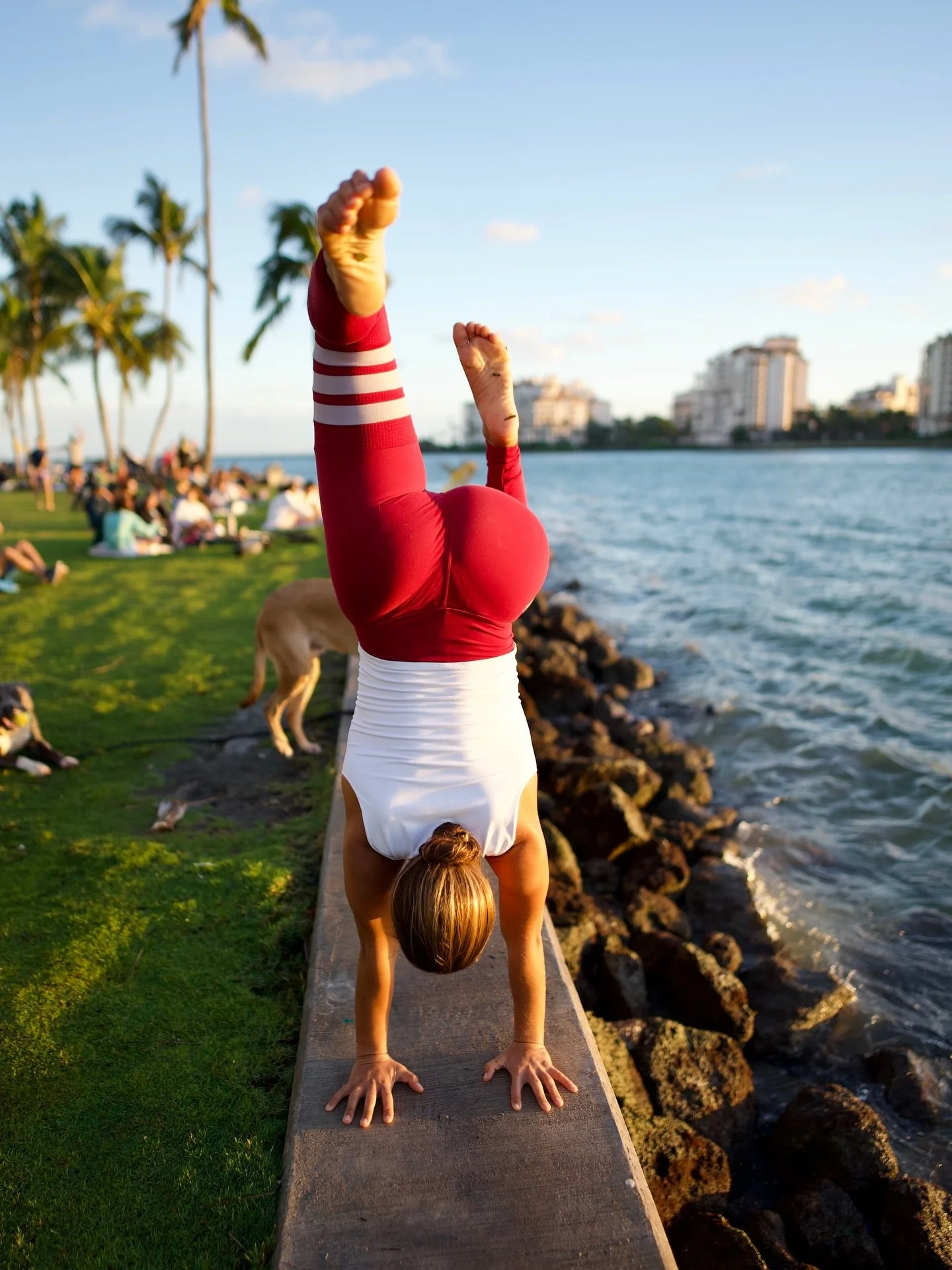 Today from 12:00-1:00 PM in our Wynwood location Come flow through a fun and energizing vinyasa sequence with lots of opportunities to play with inversions.
 
This class is all levels! All you need to join is a curiosity about getting up on your hand