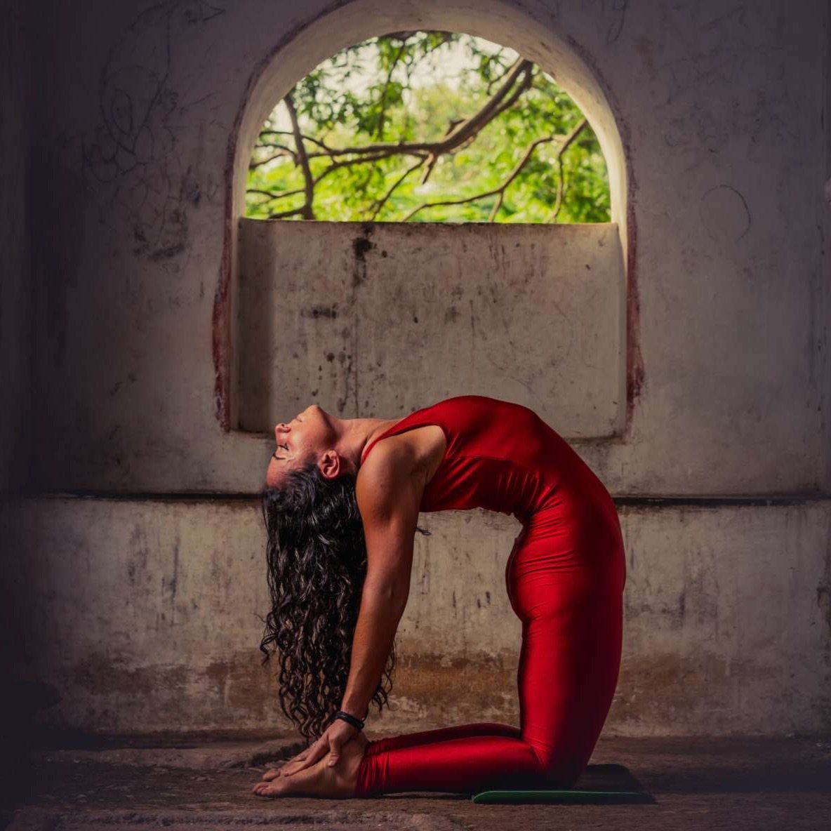 Today join @ashtangawithpaige for a Saturday Led Primary at 9:00 am This class is the full Ashtanga experience. In a steady and dynamic pace postures are linked into a choreographed sequence that opens deeper dimensions in your mind-body-breath conne