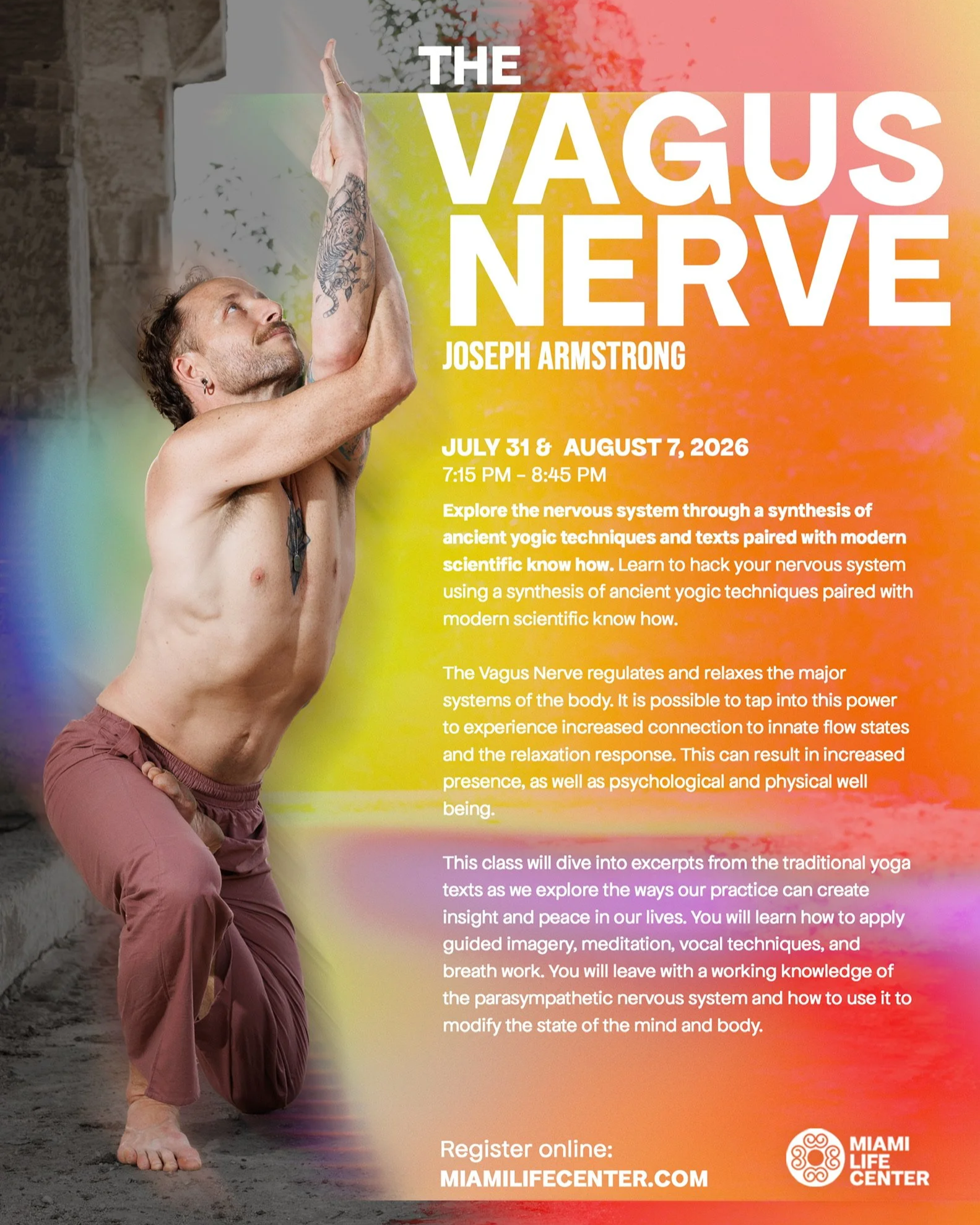 vagus+nerve+poster.png