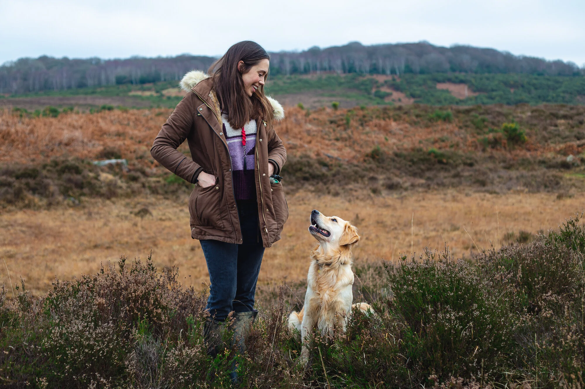 West Sussex Dog Training and Behaviour — Companion Dog Solutions