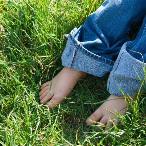 Getting Grounded: The Foundations of Mindfulness