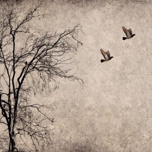 Grief and Loss: Understanding the Journey Through Life’s Transitions