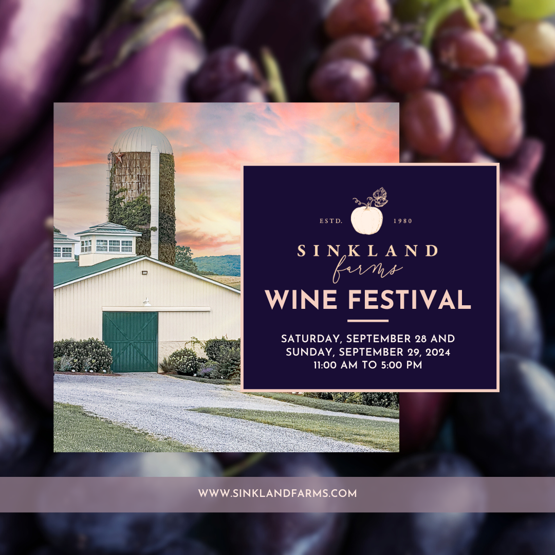 2nd Annual Wine Festival