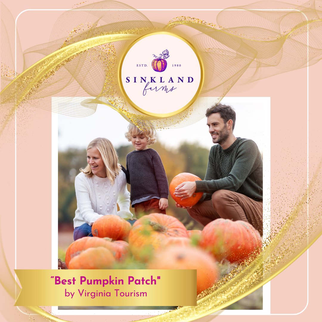 Best-Pumpkin-Patch_Virginia-Tourism_Sinkland-Farms.png