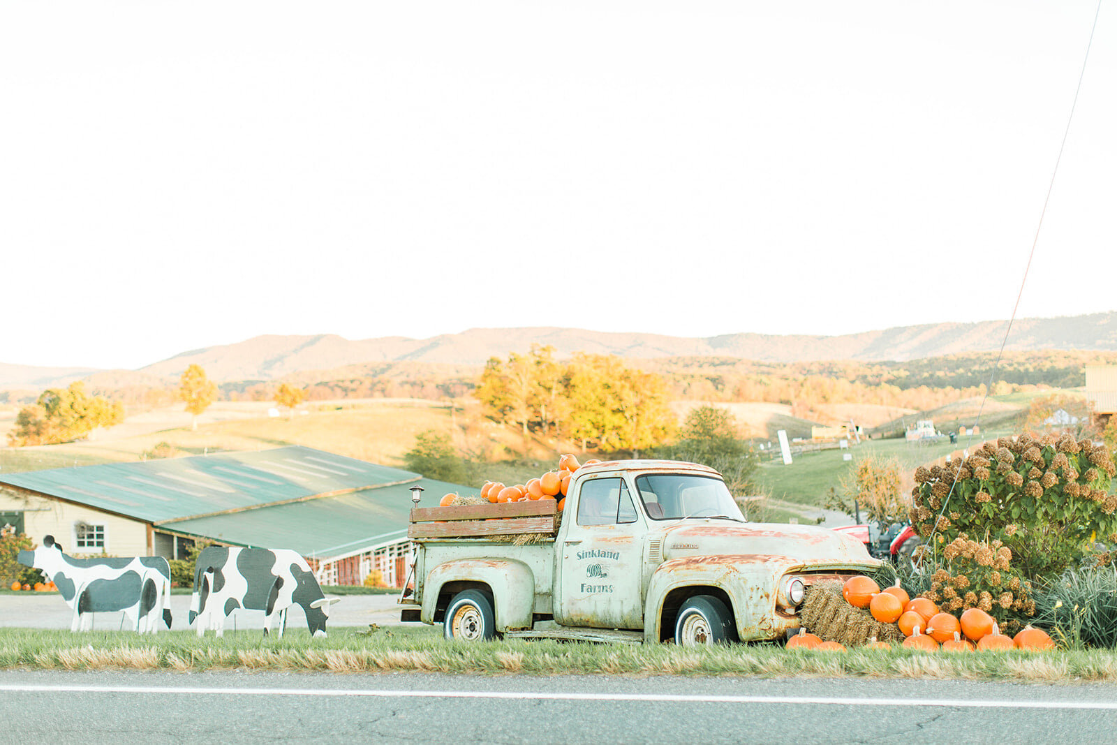 Sinkland S 29th Annual Pumpkin Festival Rated 1 In Va Rustic Weddings Events Farm Festivals Sinkland Farms