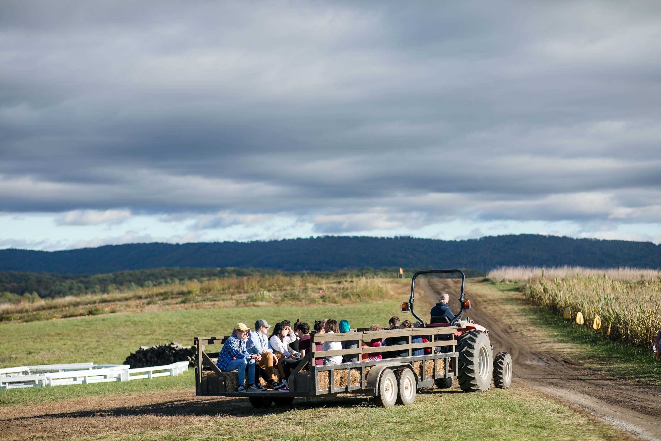 Sinkland S 29th Annual Pumpkin Festival Rated 1 In Va Rustic Weddings Events Farm Festivals Sinkland Farms