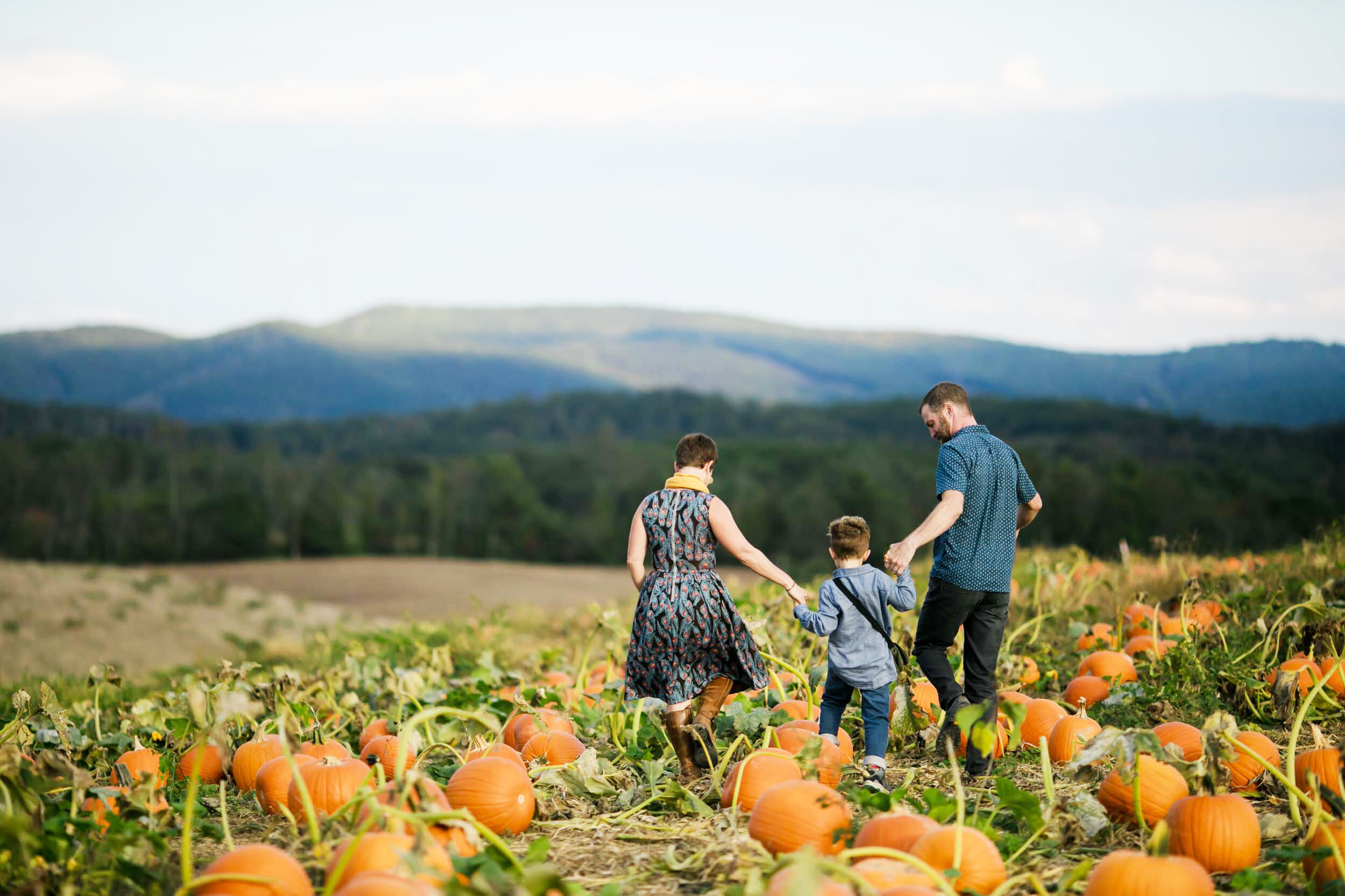 Sinkland S 29th Annual Pumpkin Festival Rated 1 In Va Rustic Weddings Events Farm Festivals Sinkland Farms