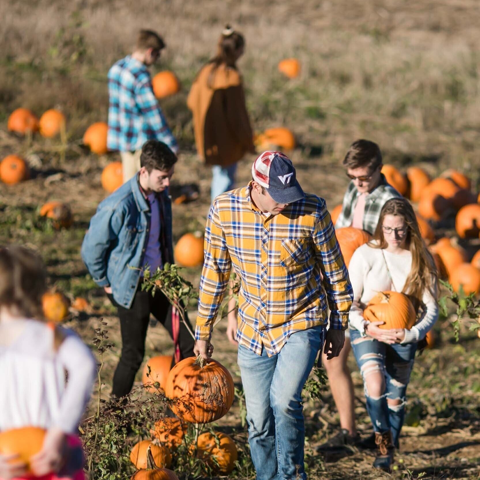 Sinkland S 29th Annual Pumpkin Festival Rated 1 In Va Rustic Weddings Events Farm Festivals Sinkland Farms