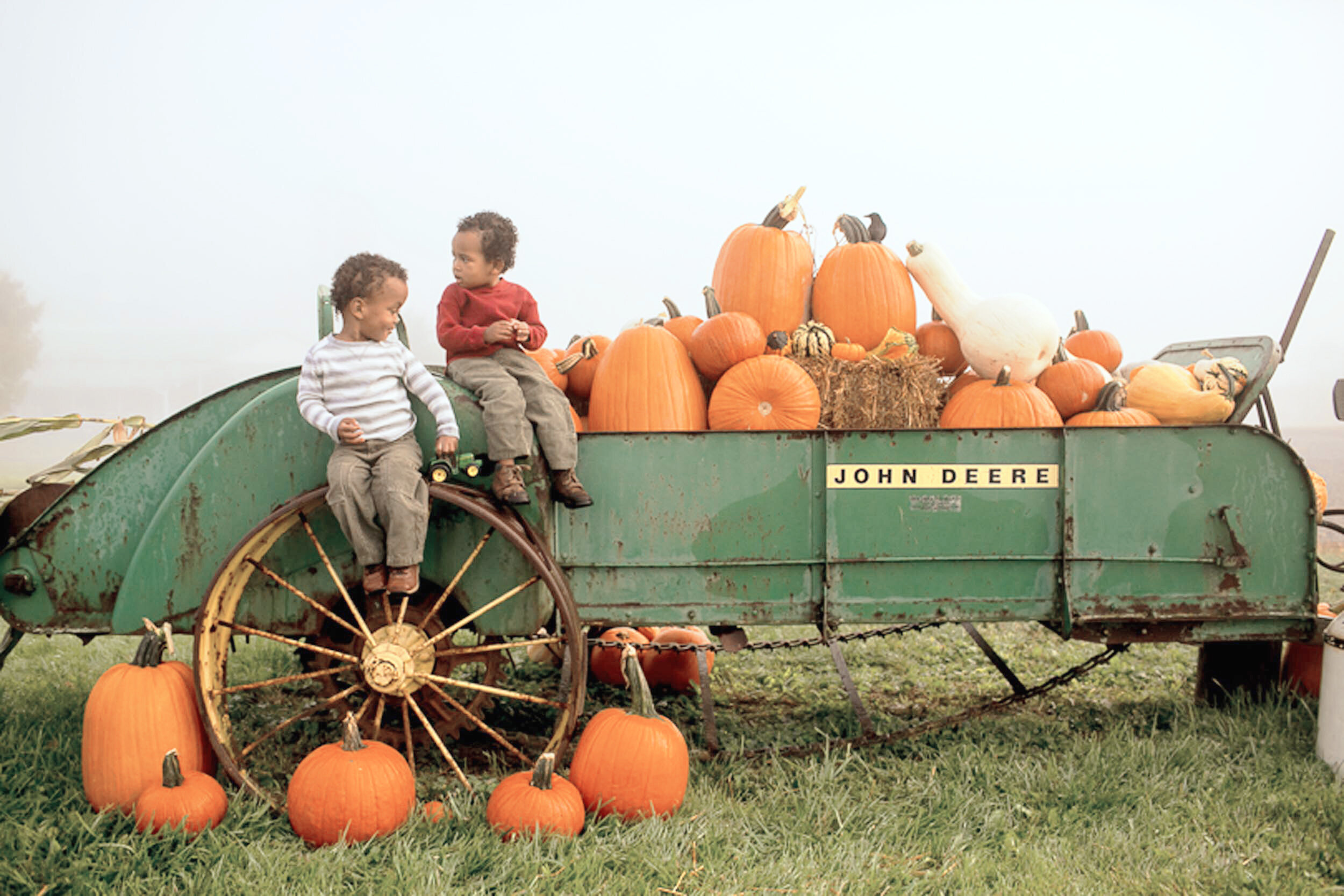 Sinkland S 29th Annual Pumpkin Festival Rated 1 In Va Rustic Weddings Events Farm Festivals Sinkland Farms