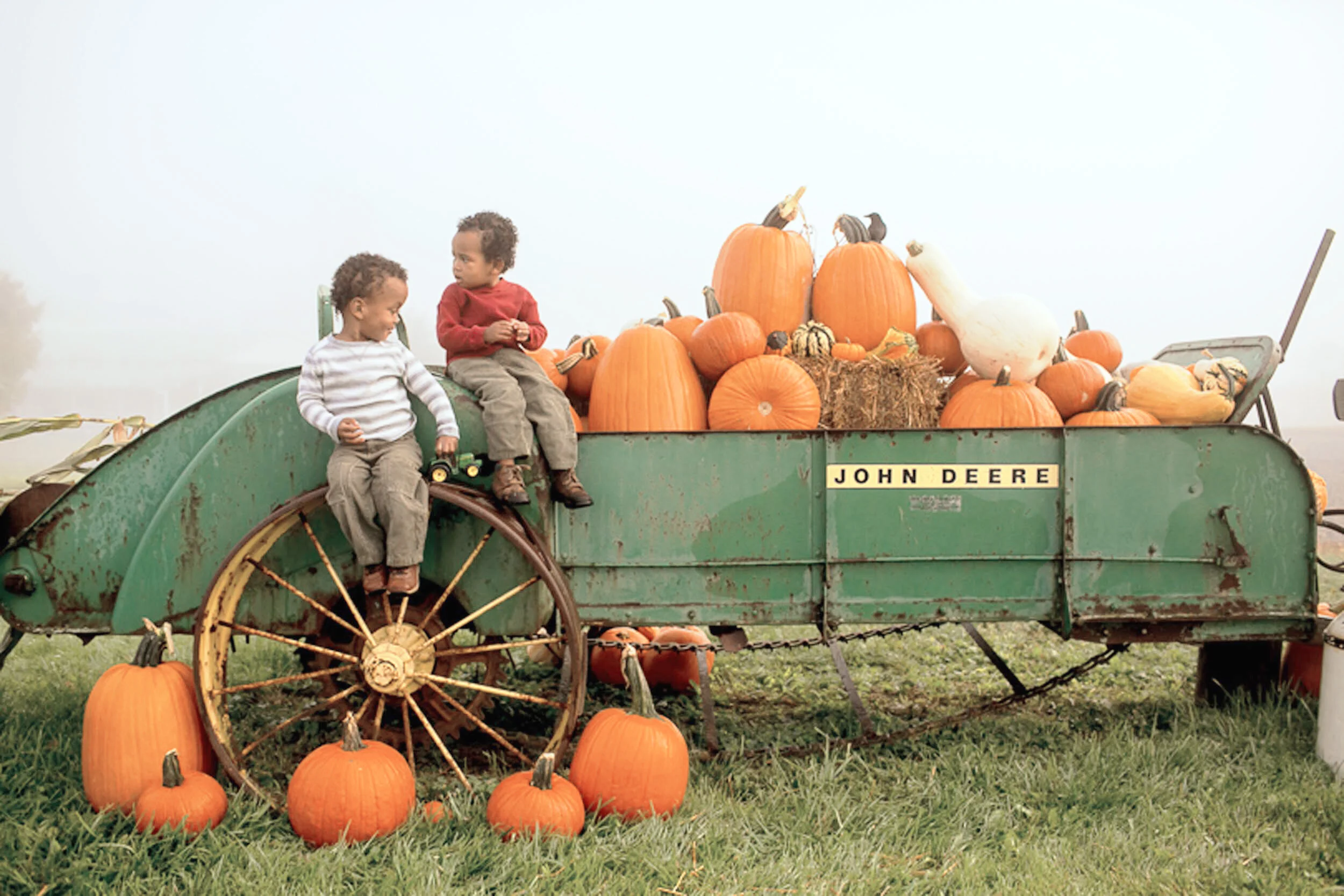 Sinkland Farms 32nd Annual Pumpkin Festival Rated 1 in VA — Rustic