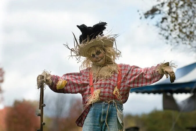 sinkland-farms-christiansburg-va-pumpkin-festival-gallery-02-adjusted.jpg
