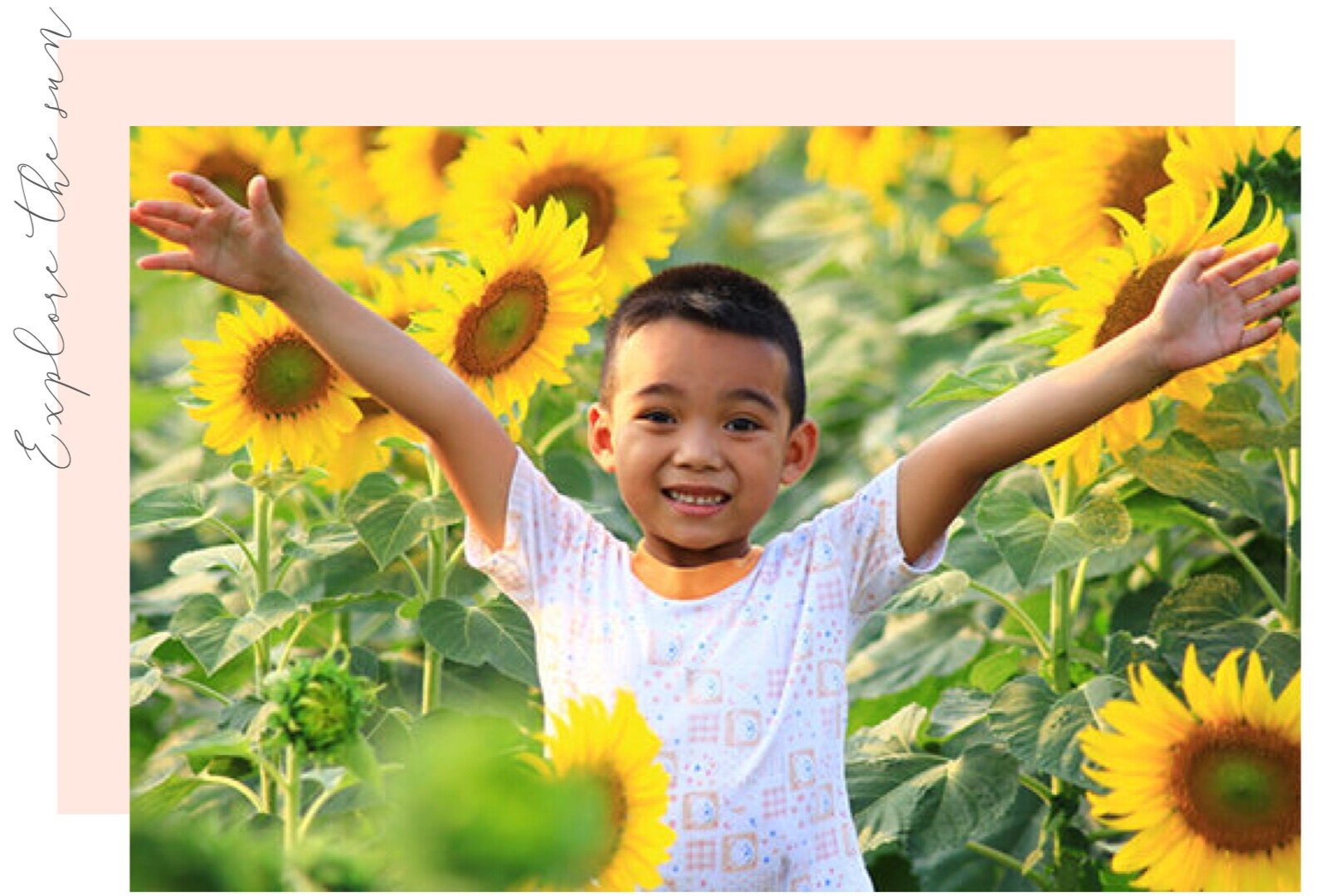 Sunflower+home+2.001.jpeg.001.jpg