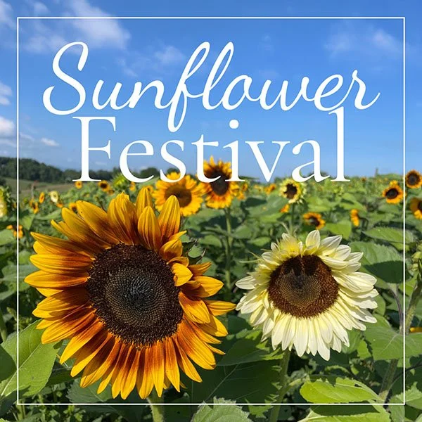 Sunflower Festival 2026