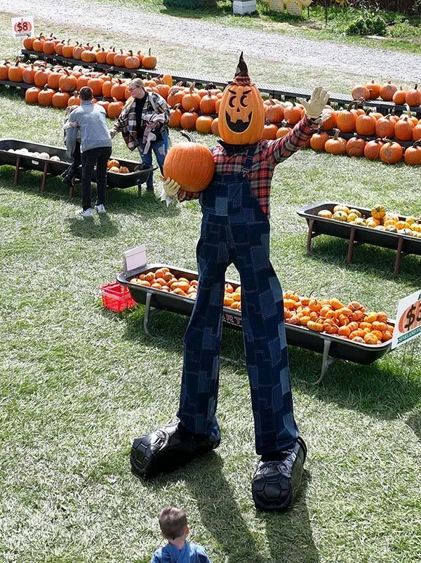pumpkinTron-web.jpg