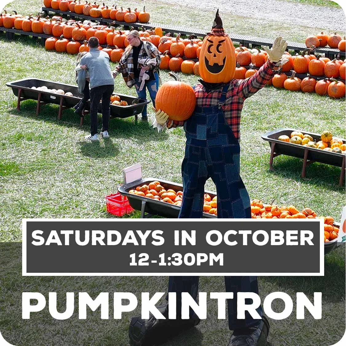 PumpkinTron - Saturdays in Oct