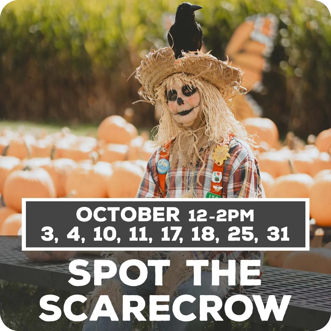 Scarecrow - Sat/Sun in Oct