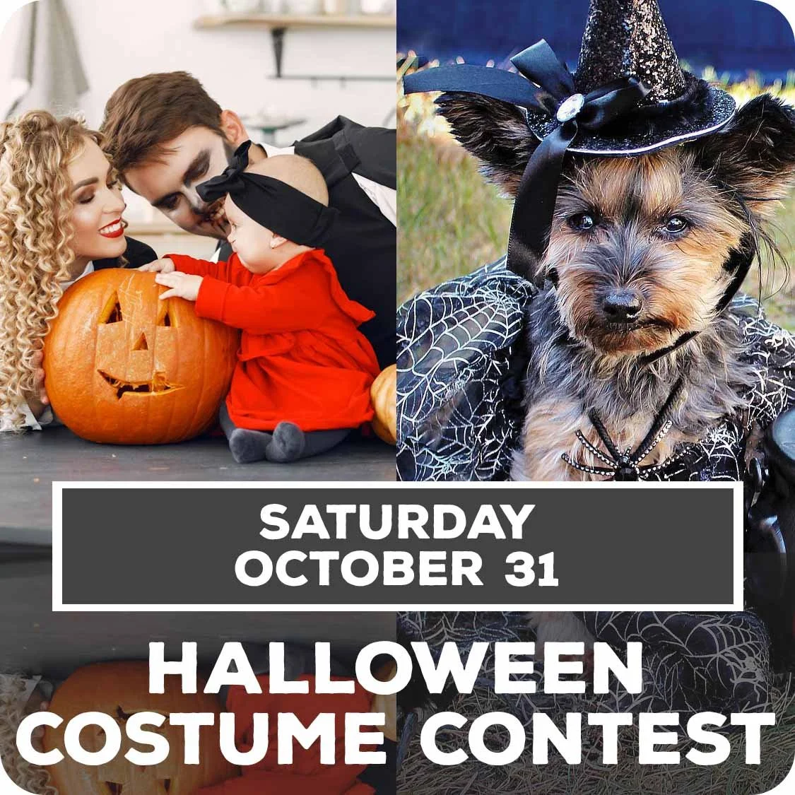 Oct 31 - Halloween Costume Contests