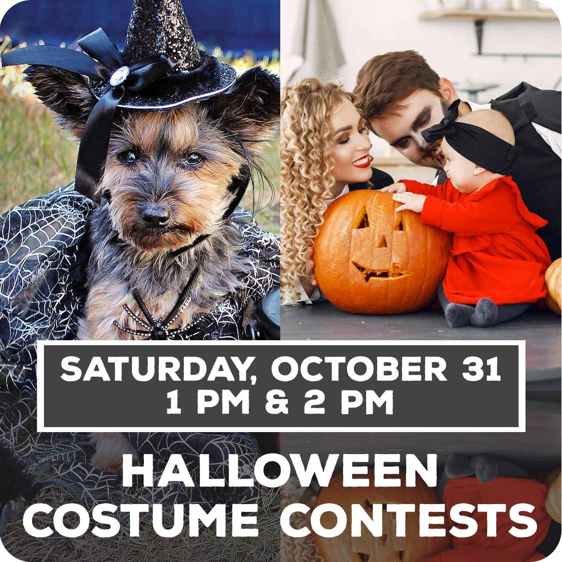 Oct 31 - Halloween Costume Contests