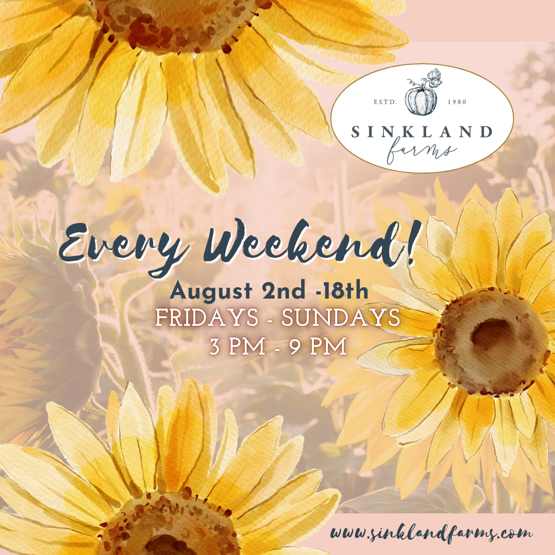 Sinkland Farms 4th Annual Sunflower Festival